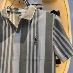 Striped Polo Shirt - Image 3